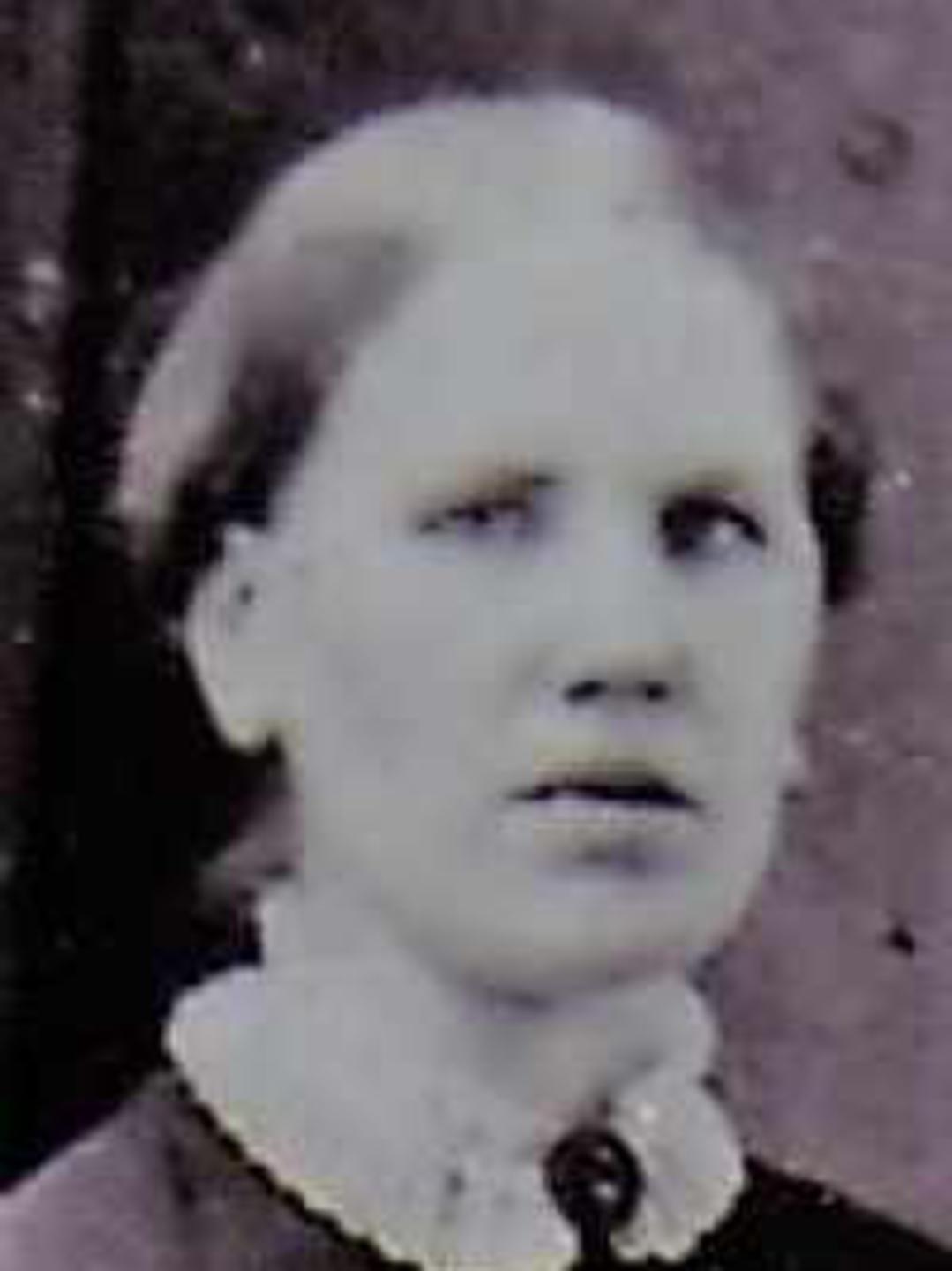 Ann Turner (1810 - 1864) Profile